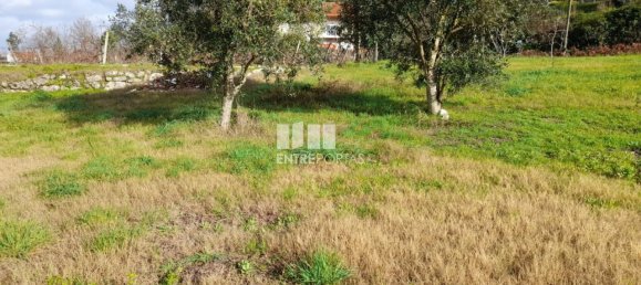 Grundstück in Amarante, Portugal 1620m², Nr. 57608 18