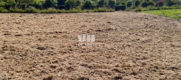 Grundstück in Amarante, Portugal 1620m², Nr. 57608 35