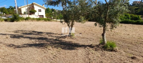 Grundstück in Amarante, Portugal 1620m², Nr. 57608 50