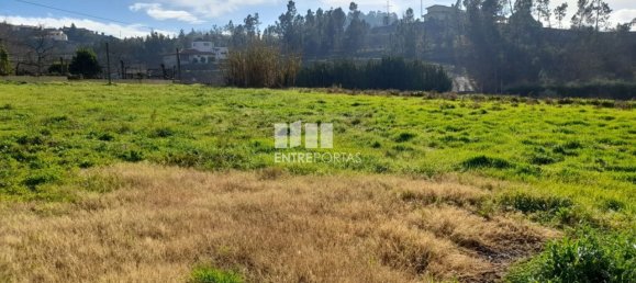 Grundstück in Amarante, Portugal 1620m², Nr. 57608 15