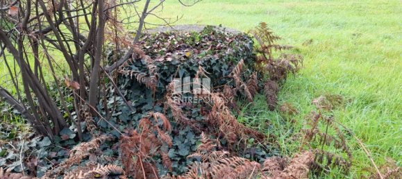 Grundstück in Amarante, Portugal 1620m², Nr. 57608 20