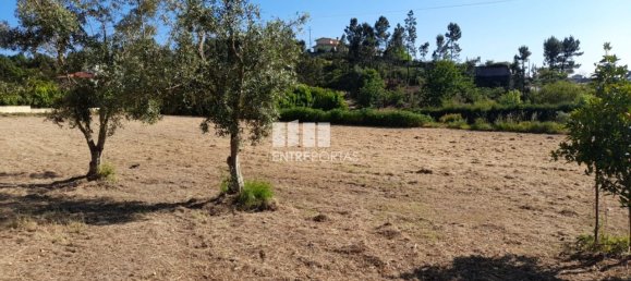 Grundstück in Amarante, Portugal 1620m², Nr. 57608 39