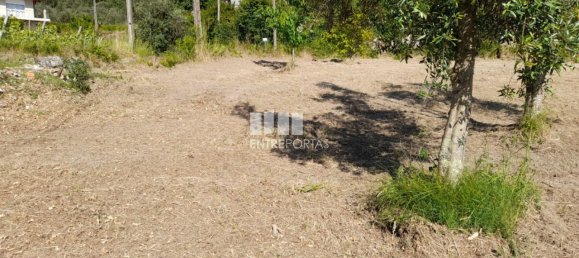 Grundstück in Amarante, Portugal 1620m², Nr. 57608 38