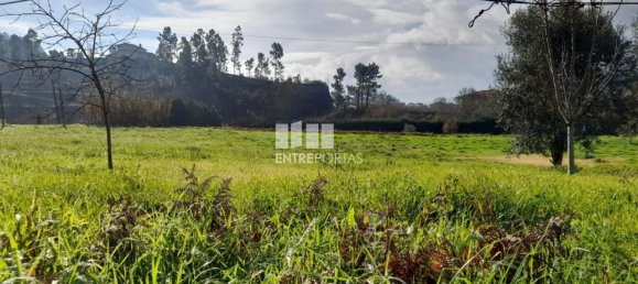 Grundstück in Amarante, Portugal 1620m², Nr. 57608 32