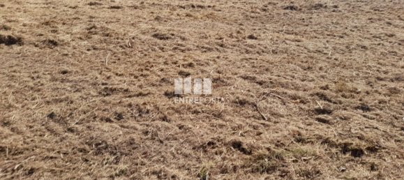 Grundstück in Amarante, Portugal 1620m², Nr. 57608 40