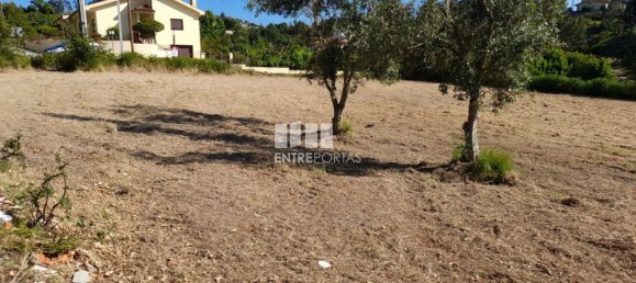 Grundstück in Amarante, Portugal 1620m², Nr. 57608 41