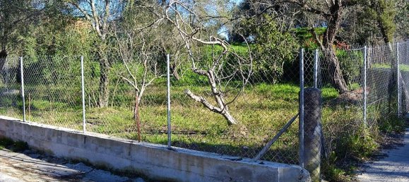 10000m² Hotel in Corfu, Greece No. 5180 5