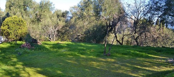 10000m² Hotel in Corfu, Greece No. 5180 15