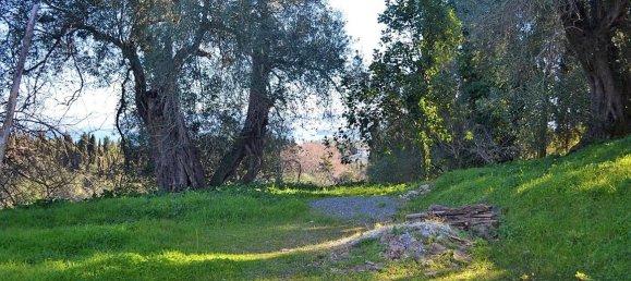 10000m² Hotel in Corfu, Greece No. 5180 8