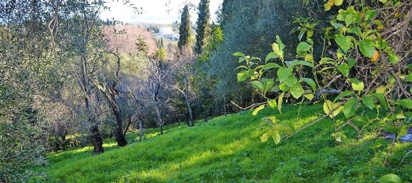 10000m² Hotel in Corfu, Greece No. 5180 12