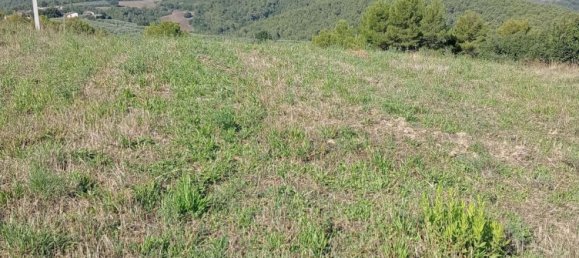  Land in Castel Ritaldi, Italy No. 349183 2