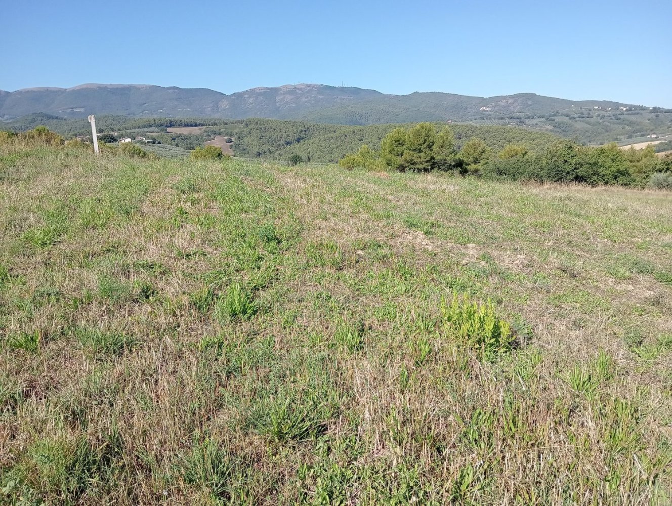  Land in Castel Ritaldi, Italy No. 349183