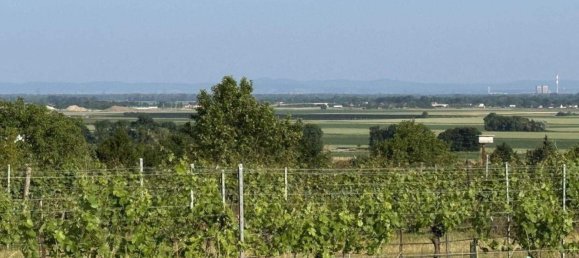  قطعة أرض في Fels am Wagram, Austria رقم 198386 2