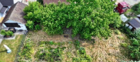 4-salle Maison à Bodenseekreis, Germany No. 260289 17