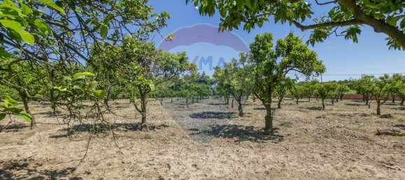 5 bedrooms House in Aveiras de Cima, Portugal No. 21463 47