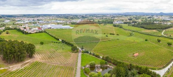 5 bedrooms House in Aveiras de Cima, Portugal No. 21463 49