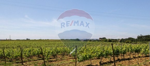 5 bedrooms House in Aveiras de Cima, Portugal No. 21463 40