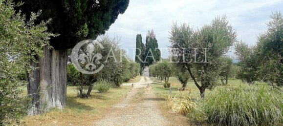 1 bedroom Villa in Castelnuovo Berardenga, Italy No. 60922 12