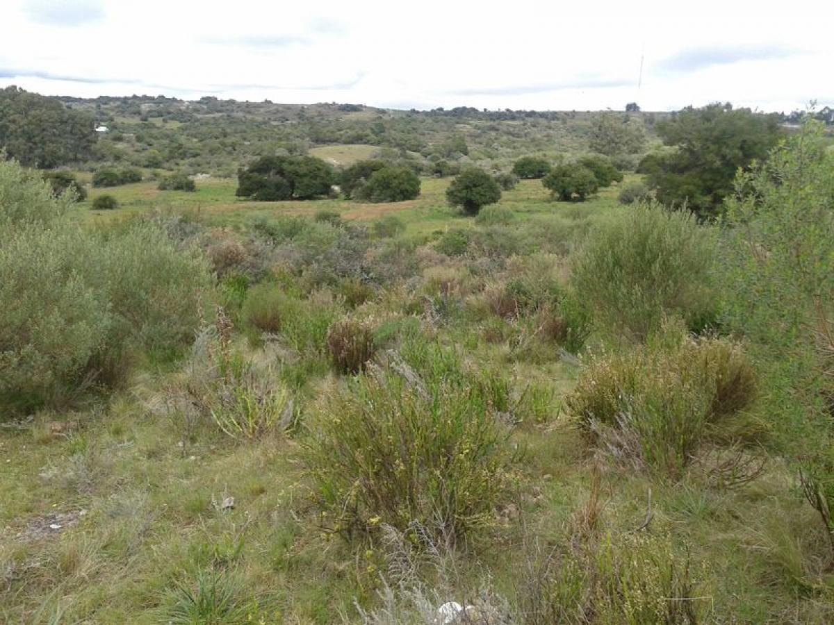 Granja en Maldonado, Uruguay No. 14874