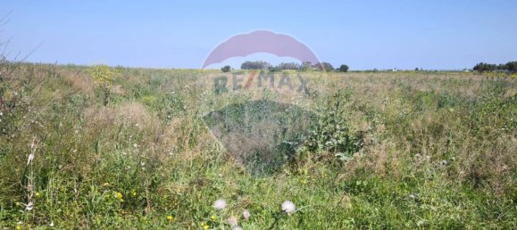 17795m² Land in Ramacca, Italy No. 326143 14