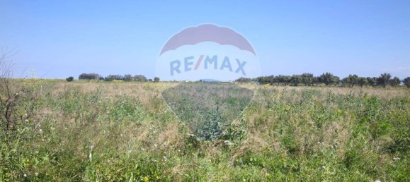 17795m² Land in Ramacca, Italy No. 326143 4