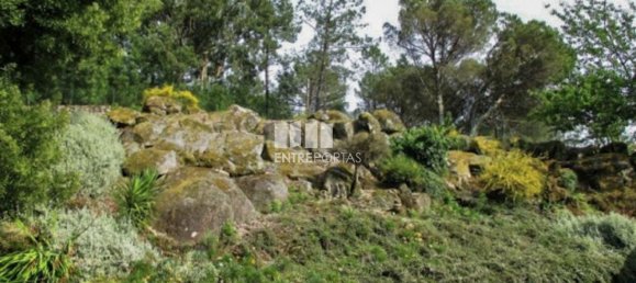 4 chambres Villa à Viana do Castelo, Portugal No. 47113 22