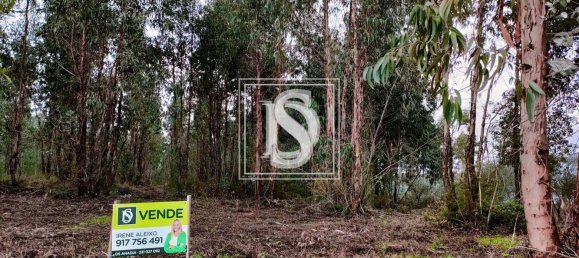 Земельный участок в Оливейра ду Байру, Португалия № 71781 4