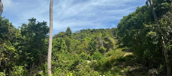  Commercial property in Surat Thani, Thailand No. 23977 4