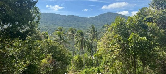  Commercial property in Surat Thani, Thailand No. 23977 6