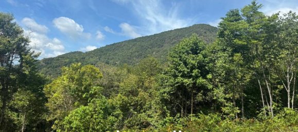  Commercial property in Surat Thani, Thailand No. 23977 8