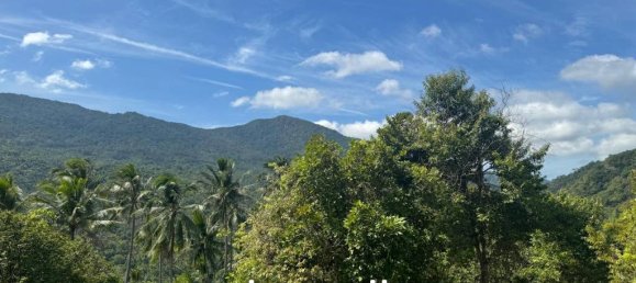  Commercial property in Surat Thani, Thailand No. 23977 5