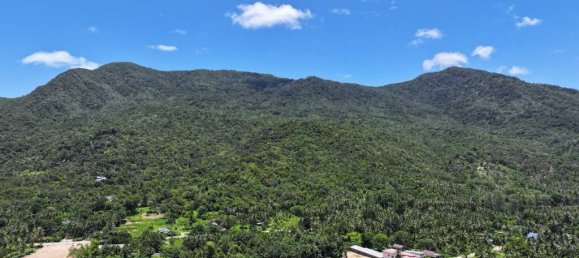  Land in Surat Thani, Thailand No. 23977 2