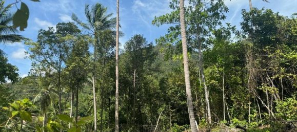  Land in Surat Thani, Thailand No. 23977 4