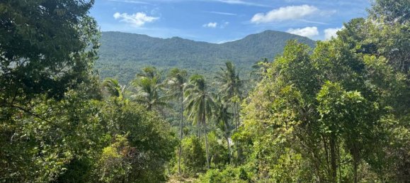  Land in Surat Thani, Thailand No. 23977 8