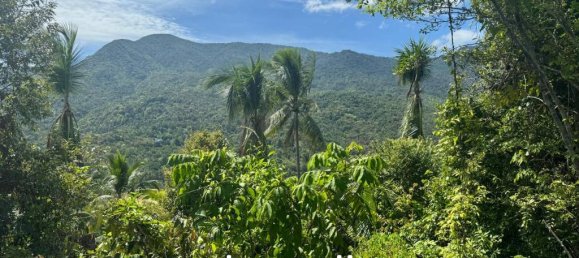  Commercial property in Surat Thani, Thailand No. 23977 7