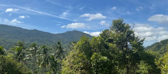  Land in Surat Thani, Thailand No. 23977 9