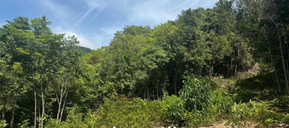  Commercial property in Surat Thani, Thailand No. 23977 9