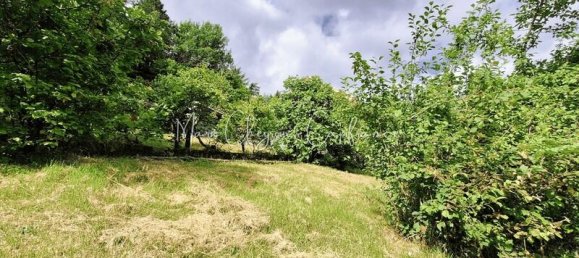 Casa de 4 dormitorios en Brive-la-Gaillarde, France No. 295548 8