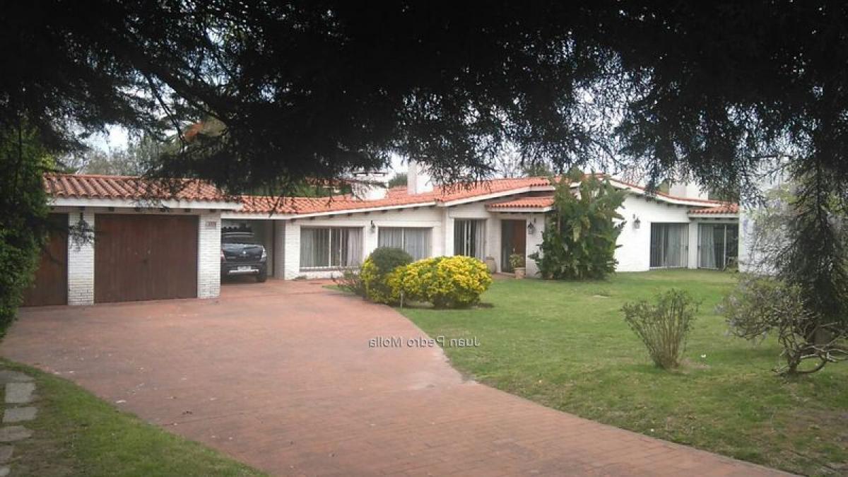 5 غرف نوم منزل في Montevideo, Uruguay رقم 7415