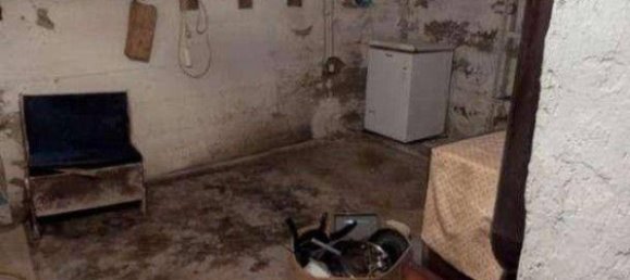 8-salle Maison à Jois, Austria No. 201598 20