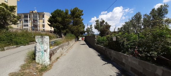 3غرفة شقة في Catanzaro, Italy رقم 71935 4