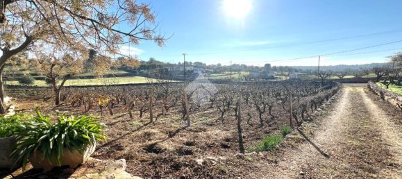 5 rooms House in Ceglie Messapica, Italy No. 144082 2