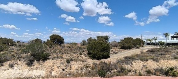 3 غرف نوم فيلا في Ciudad Quesada, Spain رقم 188253 15