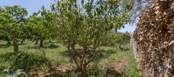 6-Zimmer Haus in Modica, Italy, Nr. 232997 31