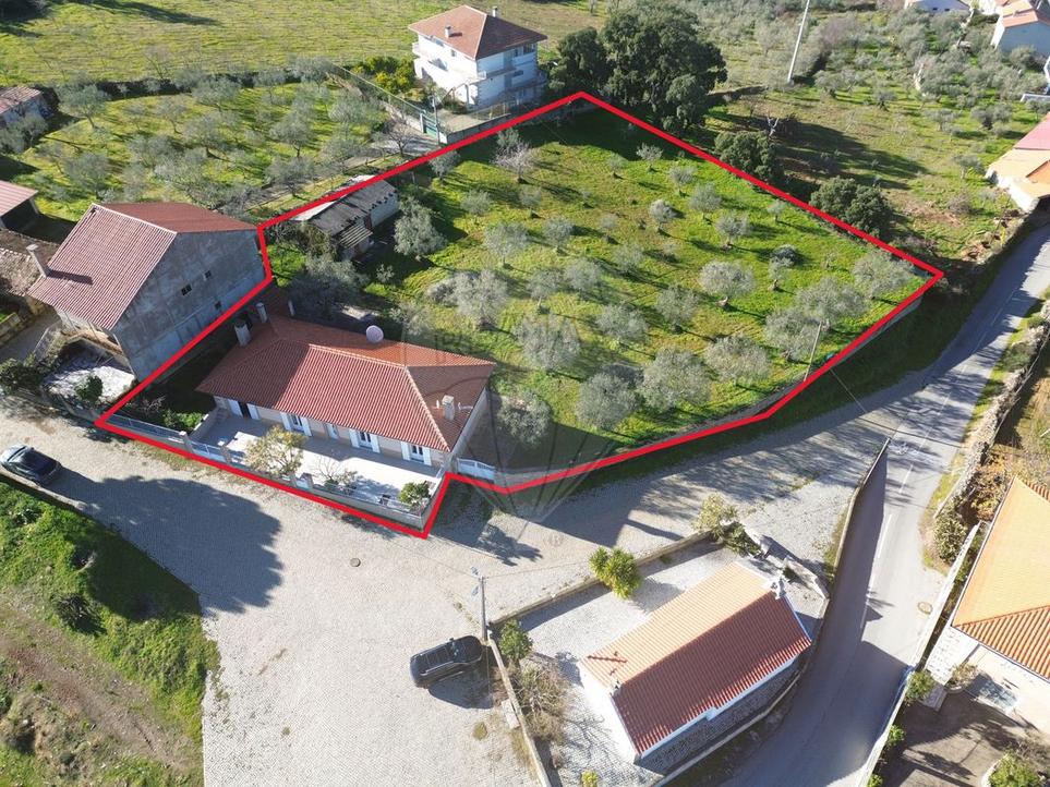 3 bedrooms House in Torre de Moncorvo, Portugal No. 165621