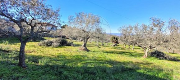 3 bedrooms House in Torre de Moncorvo, Portugal No. 165621 10