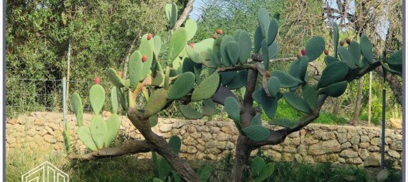 Casa T3 em Selva, Spain N.º 156197 15