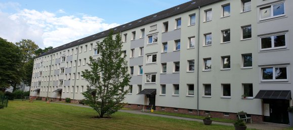 1 Schlafzimmer Wohnung in Chemnitz, Germany, Nr. 330380 2