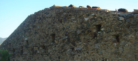 4 Schlafzimmer Haus in Belvedere Marittimo, Italy, Nr. 177173 11