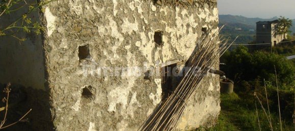 4 Schlafzimmer Haus in Belvedere Marittimo, Italy, Nr. 177173 17